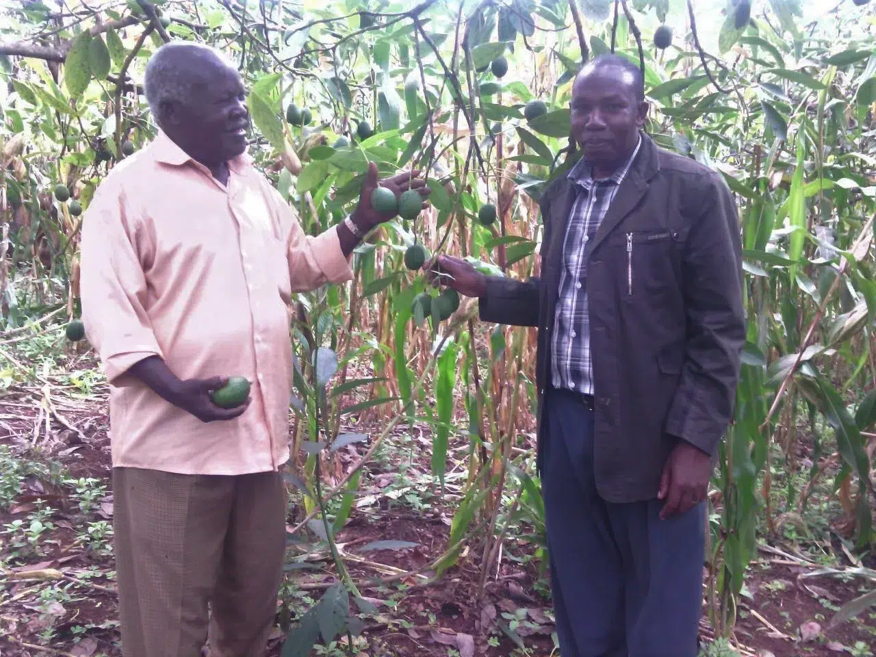 Rencontre équipe Soin Ibara et producteurs avocats